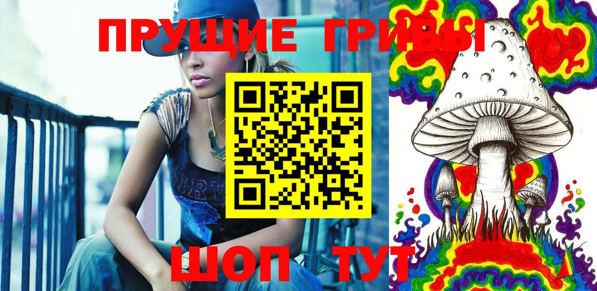 Псилоцибиновые грибы GOLDEN TEACHER  закладка  Тимашёвск  Вход с VPN 