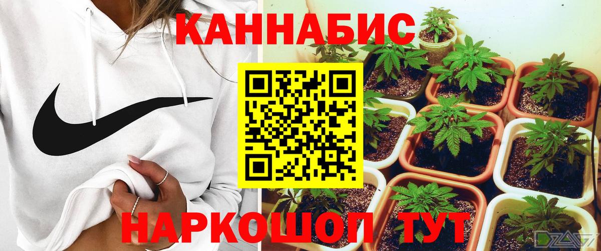Бошки Шишки планчик  Вход с VPN  Шишки марихуана ГИДРОПОН  Тимашёвск 